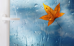 Preview GfA Letter November 2025